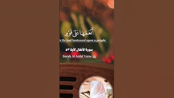 ماتيسر من سورة الأنفال #الشيخ_يوسف_العيدروس