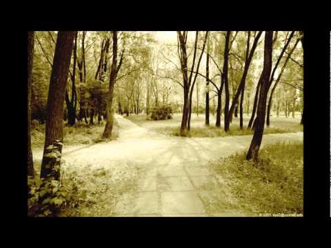 თევდორე კველთელი.wmv