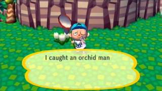 Animal Crossing: City Folk Bug - Orchid Mantis
