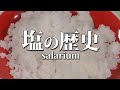 【塩の歴史】伯方の塩の真実・ローマ軍の給料は塩？カルタゴに塩？