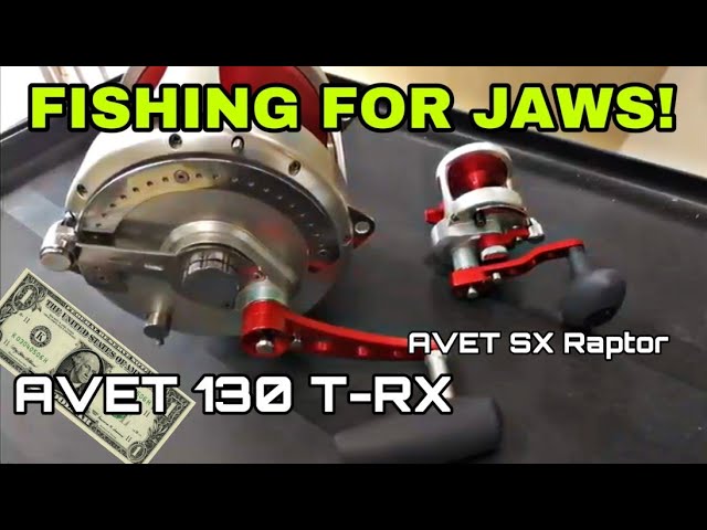 best daiwa baitrunner reels The 4 Best Fishing Reels of 2026