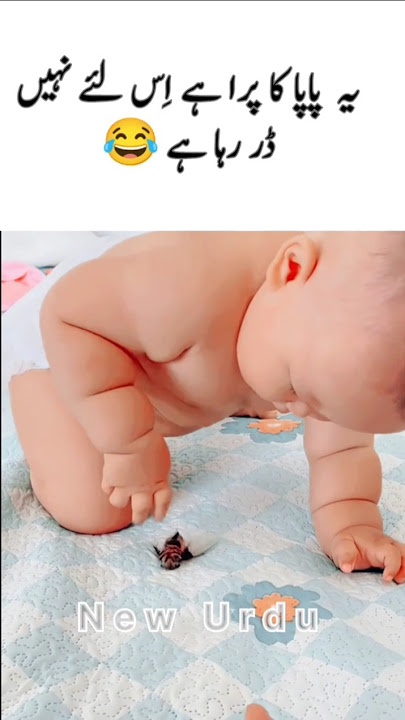 little cute baby funny trying to catch the insect 😂