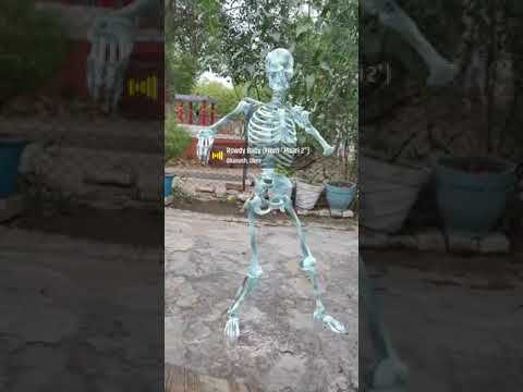Skeleton funny dance | skeleton | funny dance