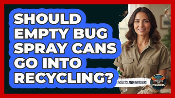 Should Empty Bug Spray Cans Go Into Recycling?