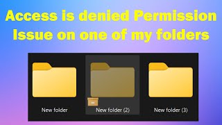 Access is denied Permission Troubleshooting Error: Resolving Permission Issues on My Folder Wealth