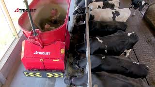 Feeding robot - Automated cattle feeding - Robotic feeding livestock