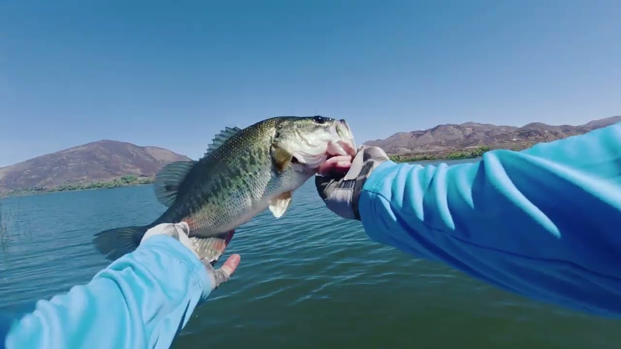 Only Dinks Allowed, Lake Skinner (6.5.26)