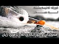 کورتە ئەنیمەشنێک لە سەر هەوڵدان و گۆڕانکاری لە ڕێڕەوی ژیان