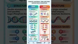 Dna Rna || physics Biolo