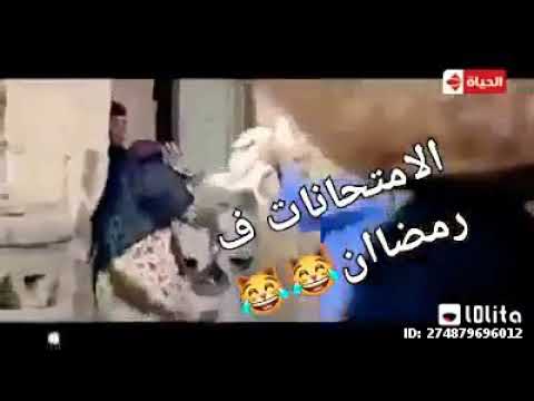 هيصه السنين محمد سعد 