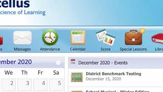 The Acellus Student Experience
