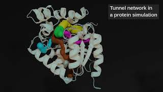 TransportTools by the Laboratory of Biomolecular Interactions and Transport AMU/IIMCB