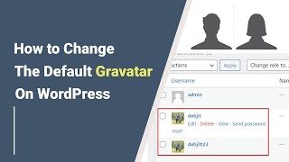 Change the Default Gravatar on WordPress || WordPress author photo