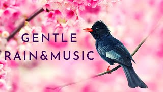 Beautiful Birds Singing | Soothing Music | White Noise | Study Music | Bulbul Singing | Rain Sounds screenshot 5