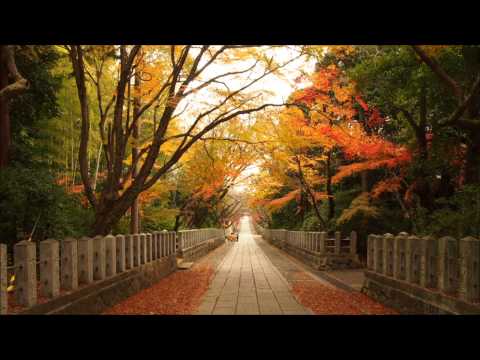 Ayumi Hamasaki - TO BE (Piano collection No.05)