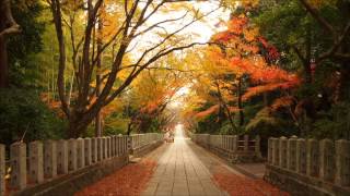 Ayumi Hamasaki - TO BE (Piano collection No.05) chords