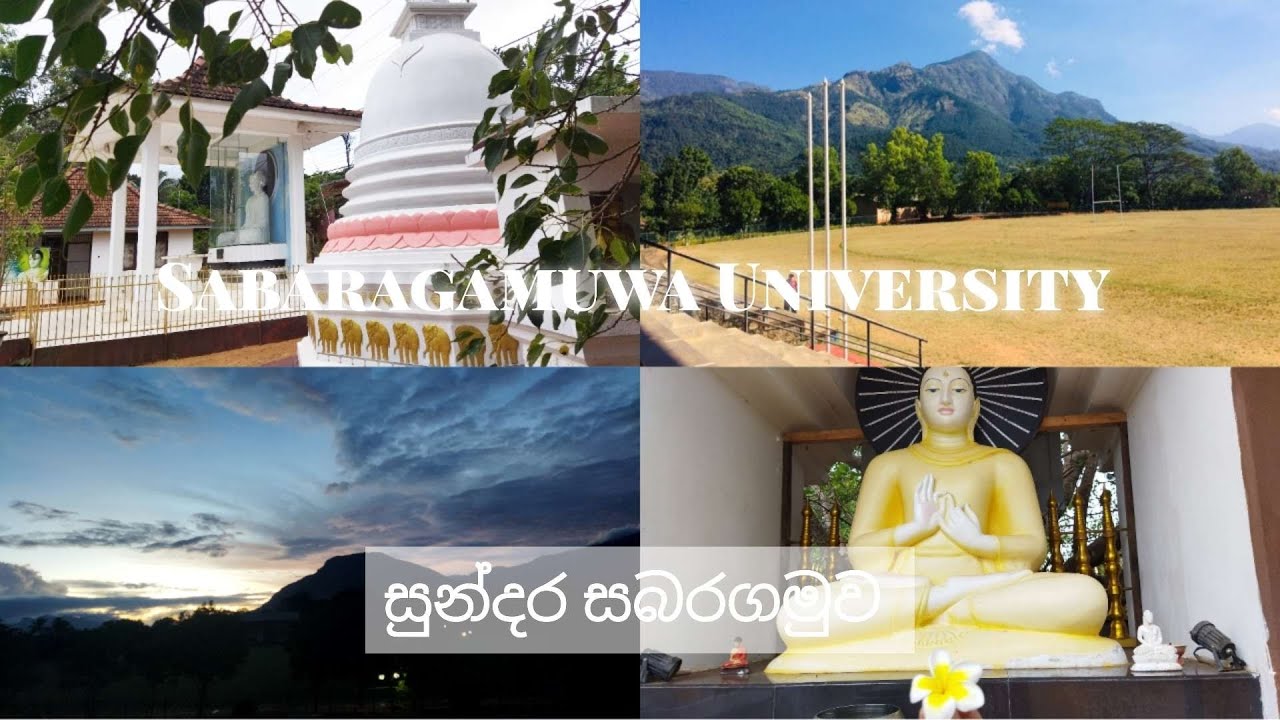 කදු යායකින් වට වූ සරසවිය😍🍃|Sabaragamuwa University of Sri Lanka #university#viral#srilanka #trending