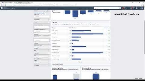 An Introduction to Facebook Audience Insights and Demographics