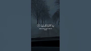 اليوم نختم على أفواههم وتكلمنا أيديهم وتشهد أرجلهم   سورة يس الآية 65 – يوسف الصقير