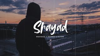 Shayad (Slowed   Reverb) | badkrazy | Heartfelt LoFi Audio 2025