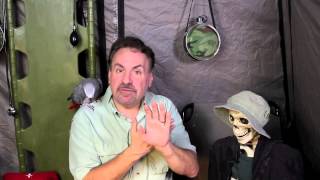 Animal Bites with Dr. Bones