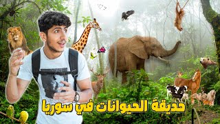 جولة في حديقة الحيوانات في سوريا 🦒🦥 | انواع مفترسة 🦁😱| دمشق - الشام | Syria Damascus 2022