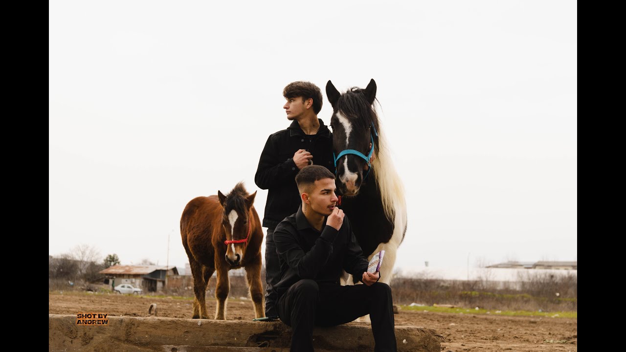 DANY DNY - ȚIGAN INDIAN (Official Music Video)