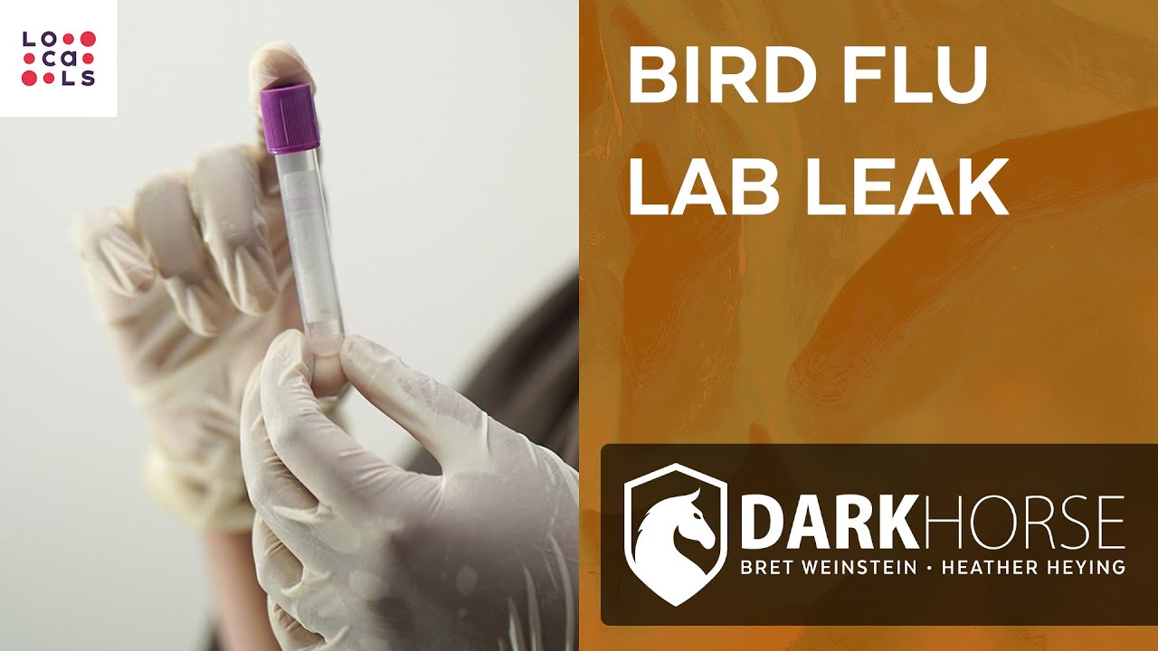 Gain-of-Function Bird Flu Lab Leak (Locals Private Q&A)