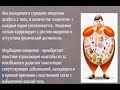 Бариатрическая(метаболическая) хирургия.Обзор