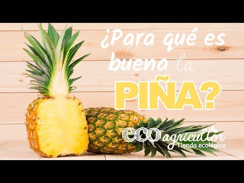 L'ANANAS, savez-vous pourquoi il faut en manger ?  A ne pas manquer _ ECOagriculteur