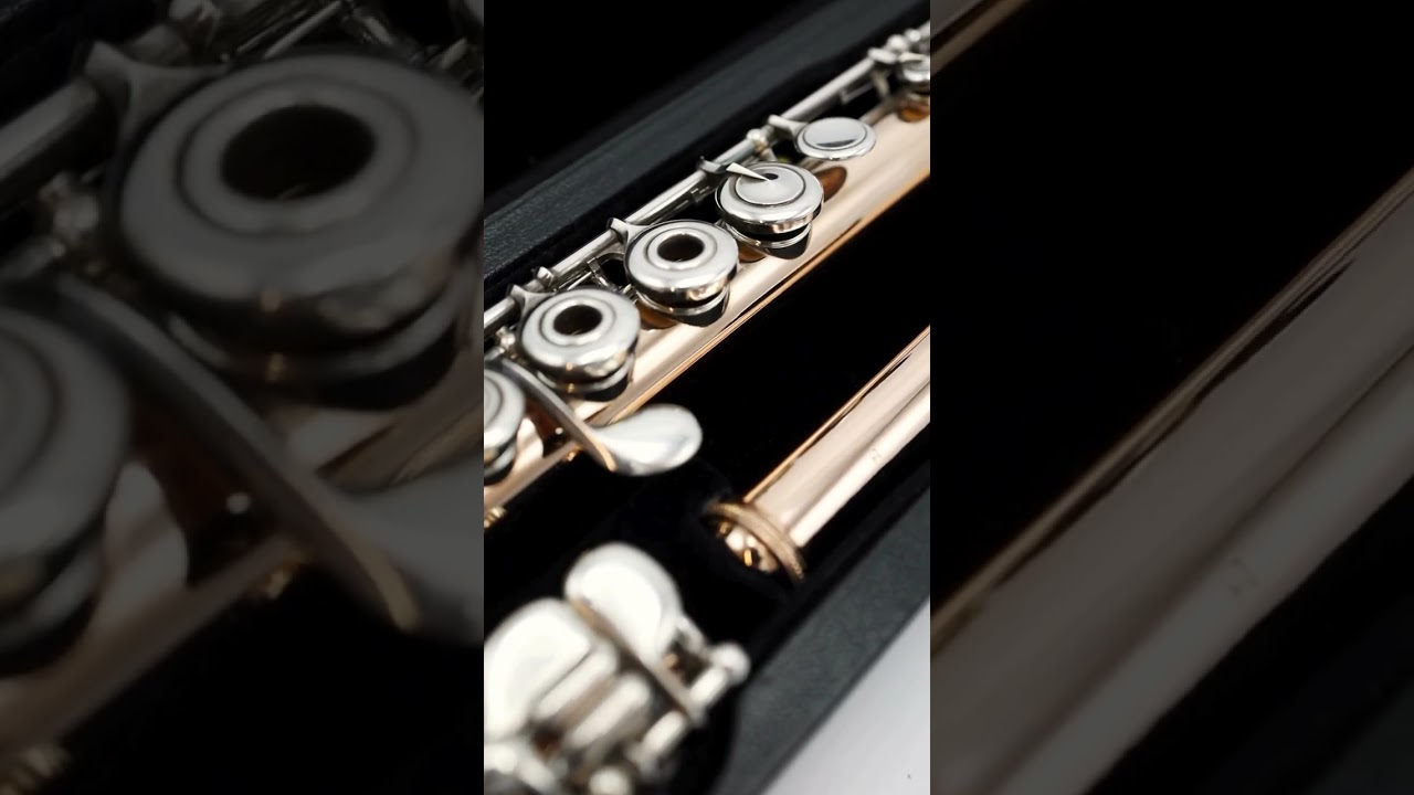 THE dream flute ❣️❣️❣️