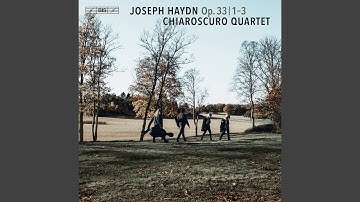 String Quartet in B Minor, Op. 33 No. 1, Hob. III:37: II. Scherzo