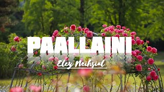 PAALLAINI || Tracy Ngaihching 