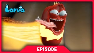 LARVA - THUNDER RED | Cartoon Movie | Cartoons For Children | Larva Cartoon | LARVA Official