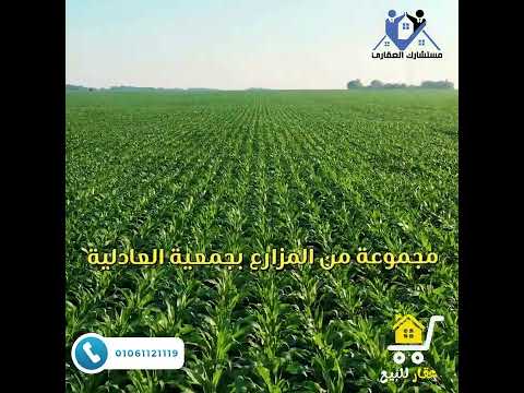مزارع للبيع فى جمعية العادلية العاشر من رمضان