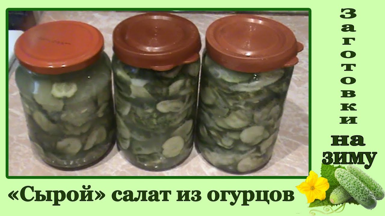сырой салат из огурцов онлайн сырой салат из огурцов