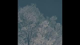 Setsu - Hideyuki Hashimoto (Official Audio)