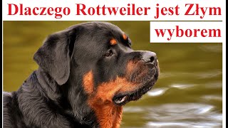 Dlaczego Rottweiler jest Złym wyborem