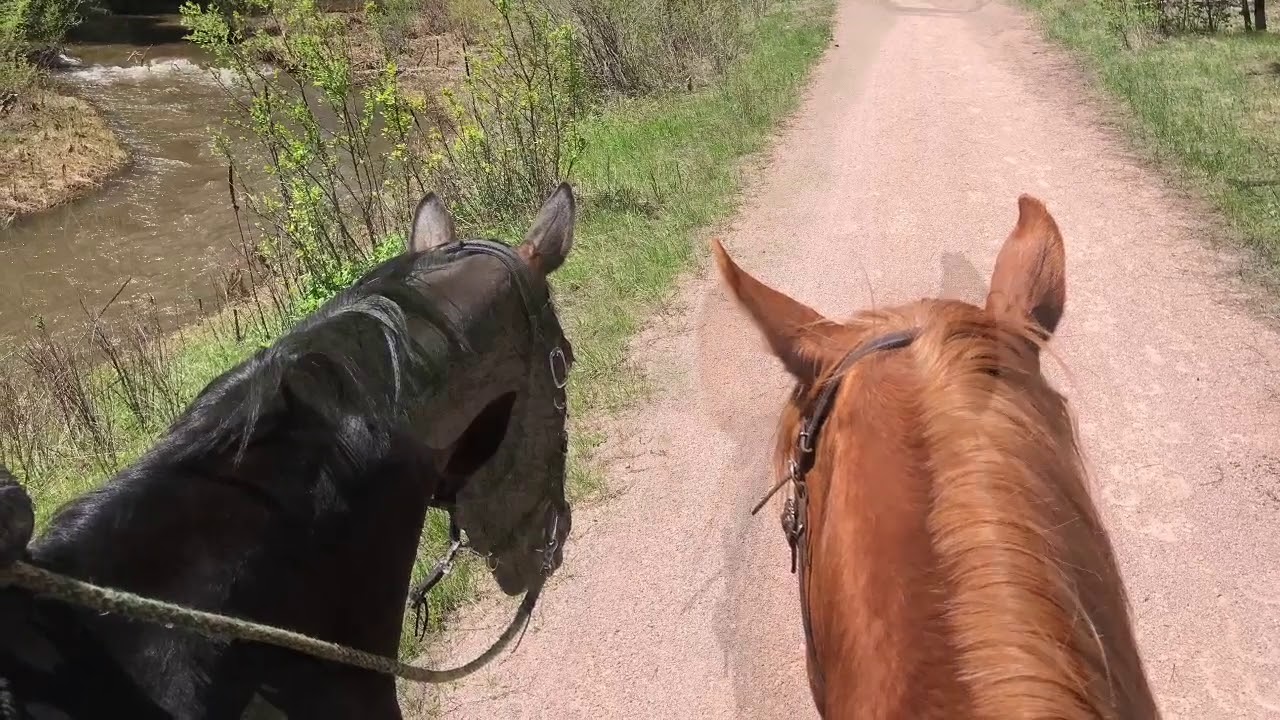 Mickelson Trail South Dakota Day 3 YouTube