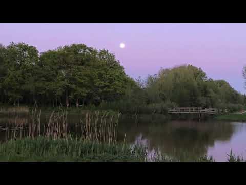 Natuur(Nature) video 13
