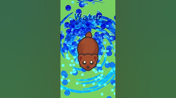 [taming.io] Bear - Water Type Pet