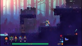 Dead Cells:  The location of that elusive third Gardener's Key...