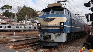 【EF66 0番台】【ニーナ】【ゼロロク】EF66-27牽引 貨物列車 5097レ 2020年2月4日 花月園前踏切