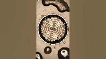 Solfeggio Frequency 174 Hertz〰️Cymatics #solfeggio #solfeggiofrequencies #cymatics