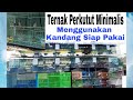 Belajar Ternak Perkutut Bangkok Minimalis, Pakai Kandang Kecil Siap Ternak