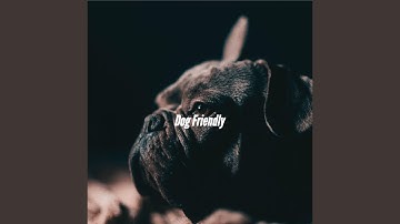 Understated Music for Amusing Days