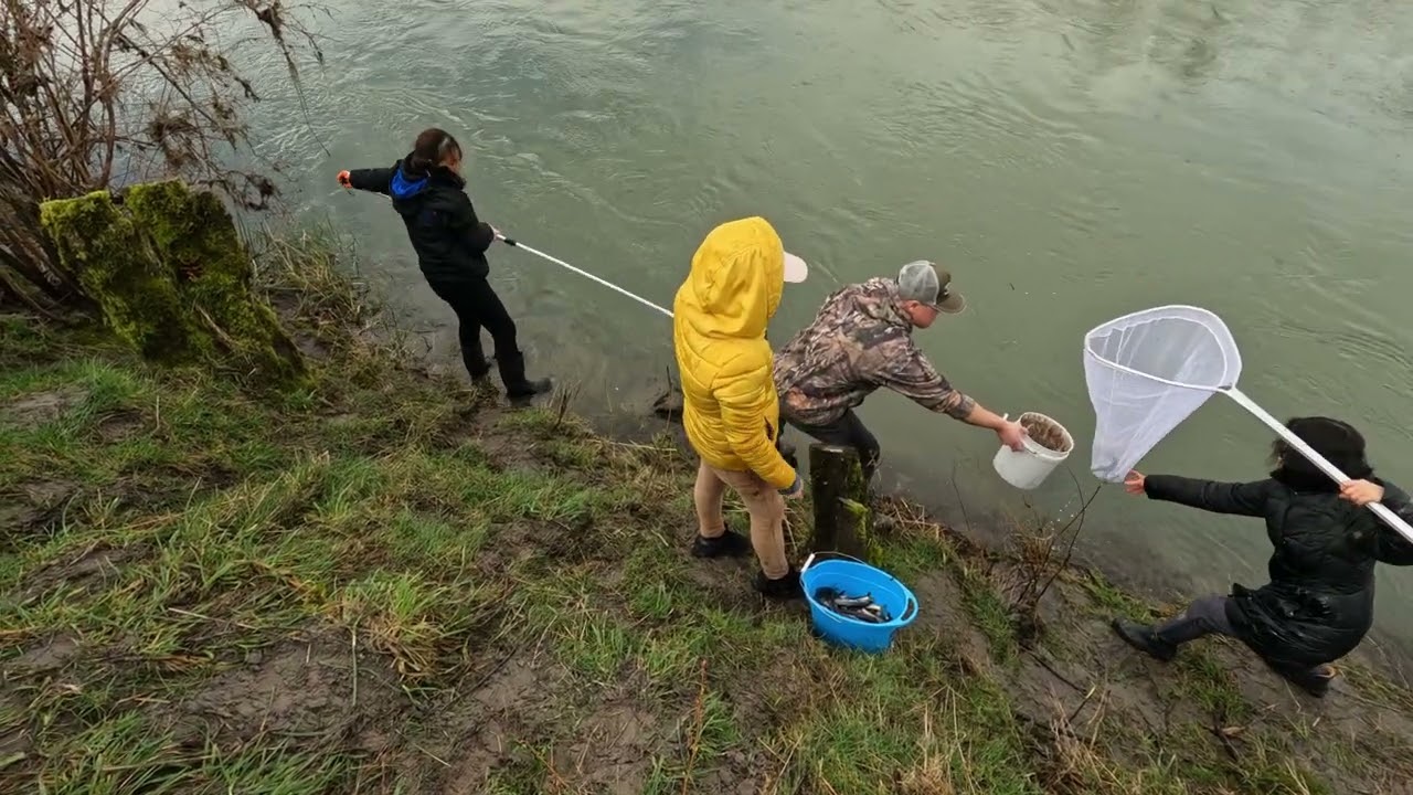 Cowlitz River Smelt Dip  February 2024. 😊🤙🔥🔥 