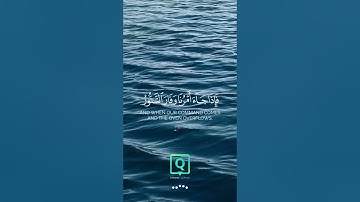 والله يدعو إلى دار السلام | تلاوة خاشعة بصوت سلمان عبيد المطيري ✨