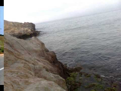 شواطئ عين حمادي 2014