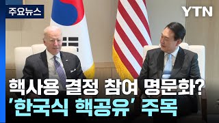 핵 사용 결정에 참여 명문화?...'한국식 핵공유' 주목 / YTN
